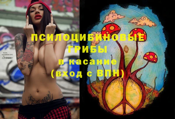 бутират Новодвинск