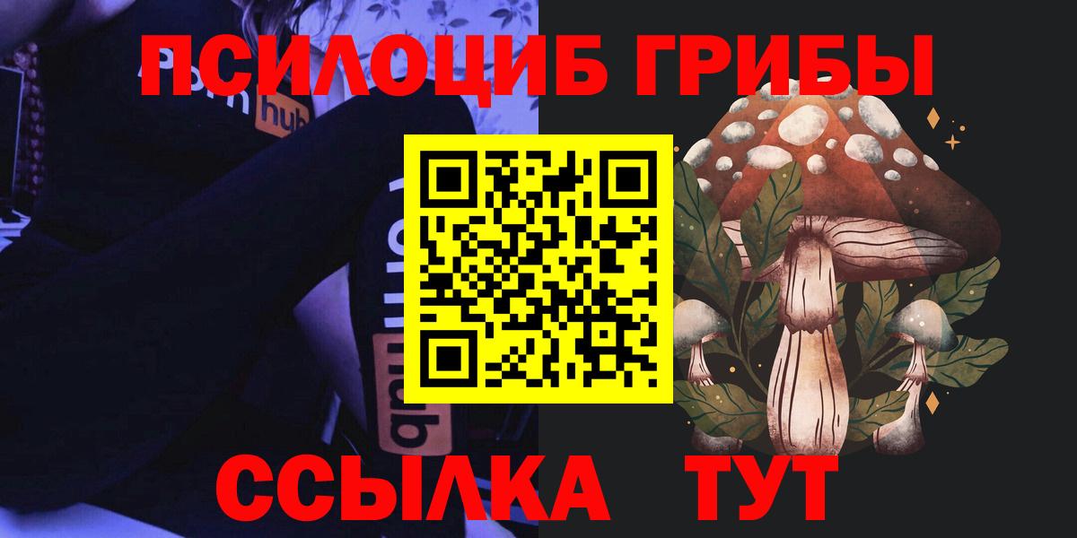 Галлюциногенные грибы Psilocybine cubensis Краснокамск