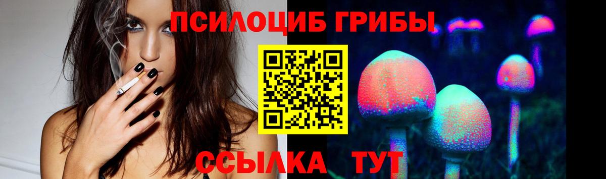 Галлюциногенные грибы Cubensis  Вход с VPN  Краснокамск 